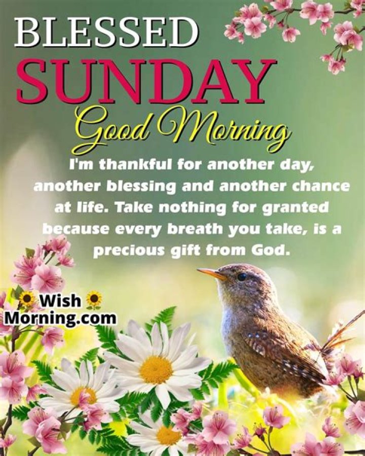 Embracing The Joy Of A Good Morning Blessed Sunday