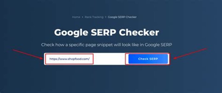 The Complete Guide To Tracking Website Rankings: Google Site Position Checker.