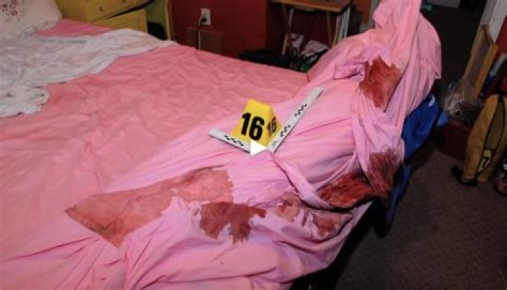 Unraveling The Mystery Of The Gypsy Rose Scene Crime