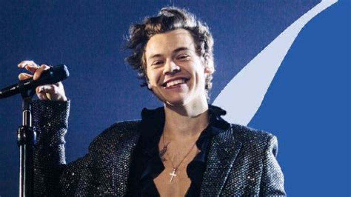 Harry Styles Is Getting Body Shamed On TikTok For Reportedly Being Bald