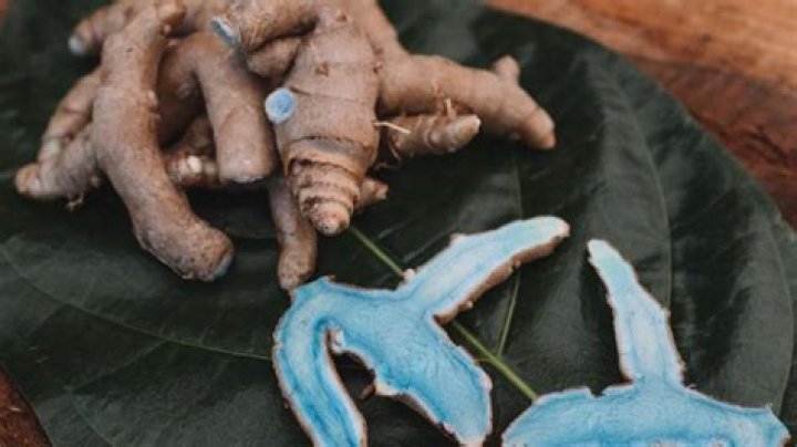 5 health benefits of black turmeric – India TV