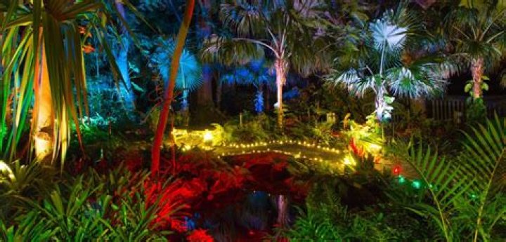 Heathcote Botanical Gardens’ Garden of Lights
