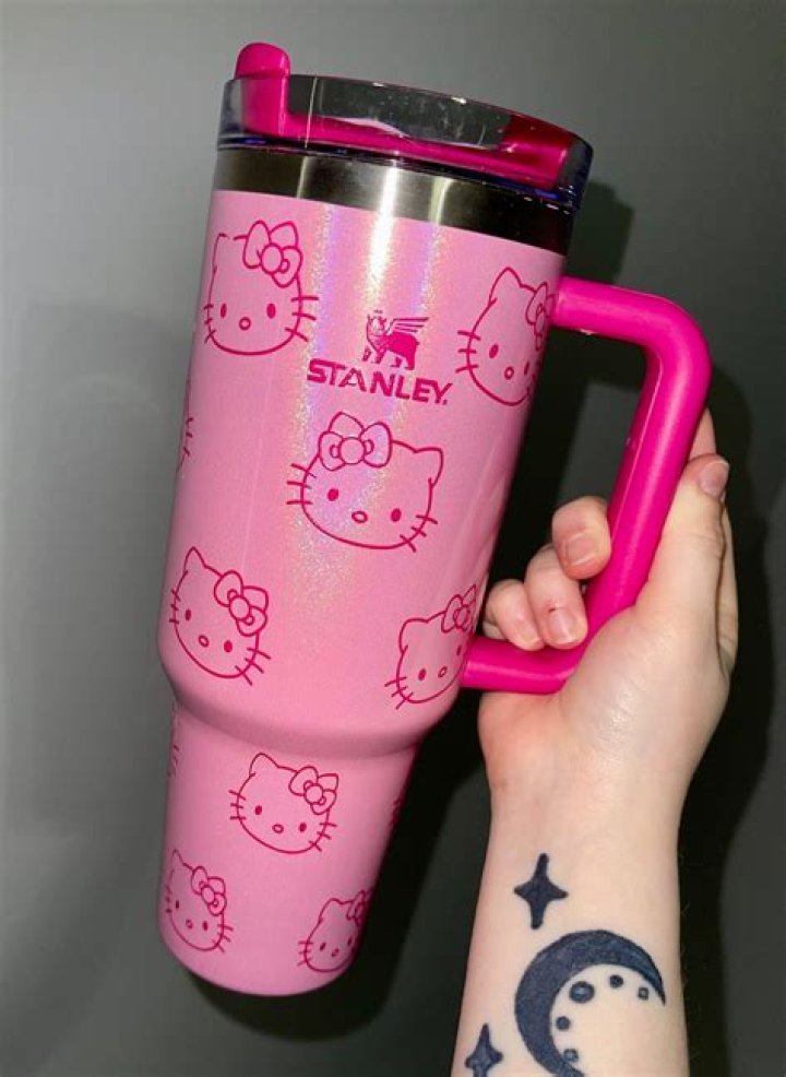 Hello Kitty Stanley: A Colorful Journey Into The World Of Cuteness