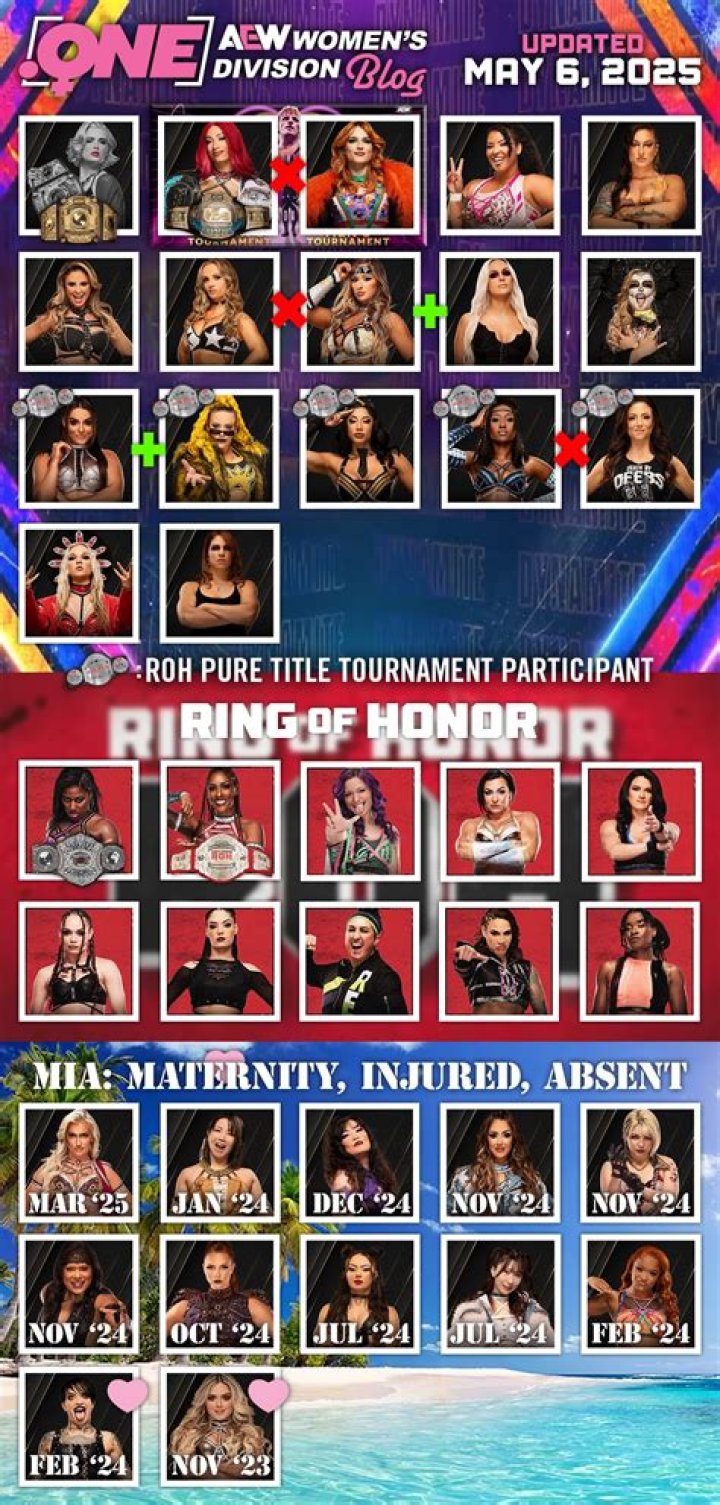 Hikaru Shida’s First Comments After Shocking AEW Women’s Title Win