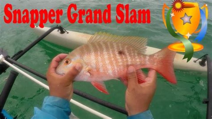 Hog Snapper Grand Opening
