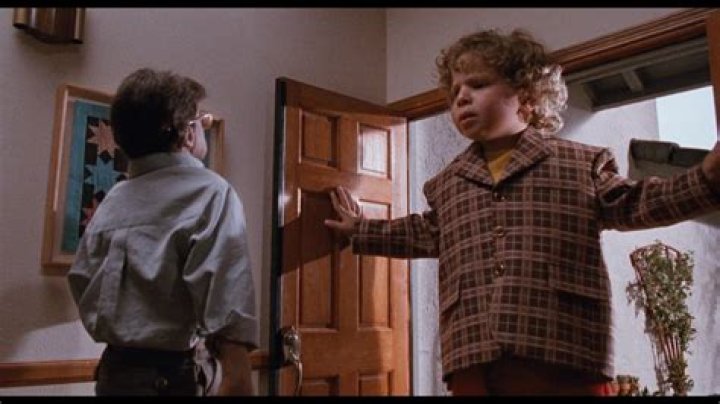 5 Crazy Facts About Honey I Blew Up The Kid