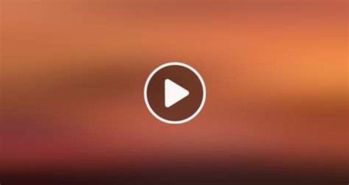 Unleashing The Joy Of Horse Video Twitter