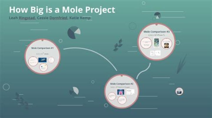 How Big Is A Mole Project