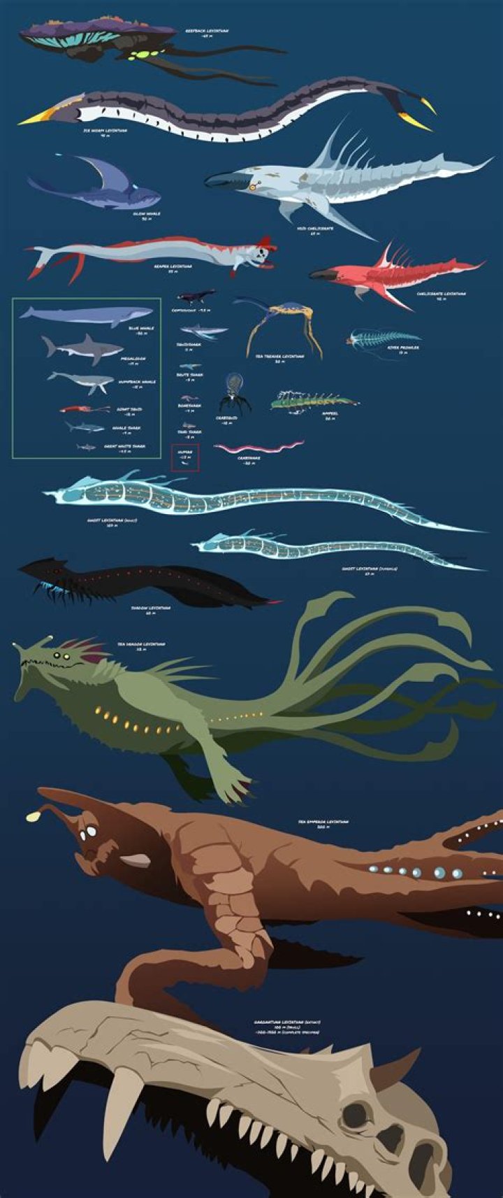 Question: How Big Is The Leviathan