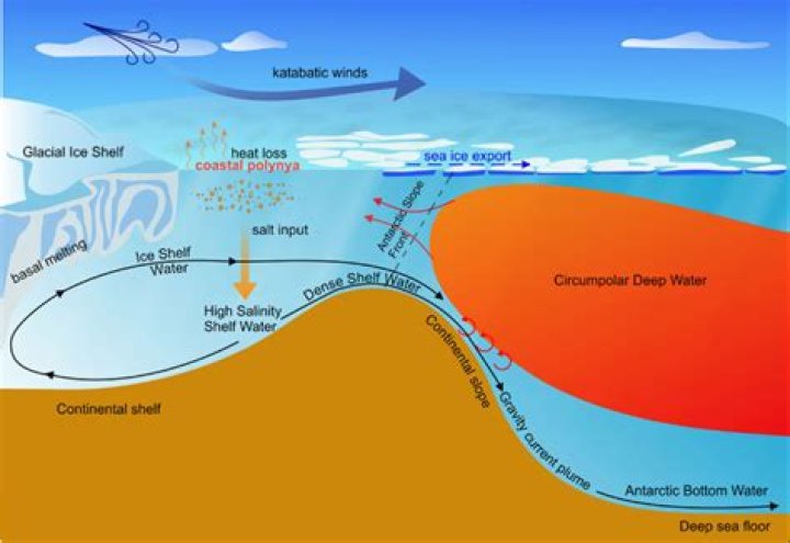Quick Answer: How Cold Is The Water Today