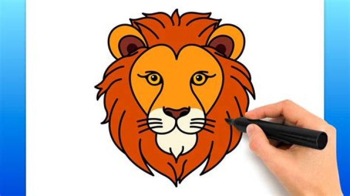 How Do You Draw A Lion Face