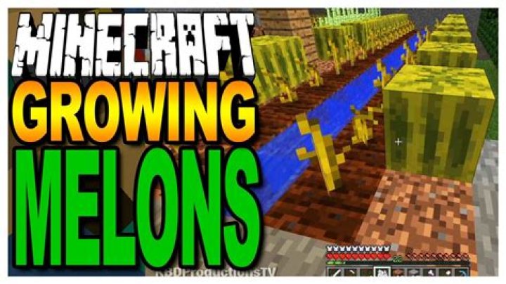 Question: How Do You Grow Melons In Minecraft