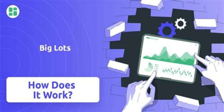 Question: How Does Big Lots Work