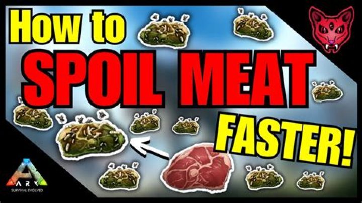 How Fast Does Meat Spoil