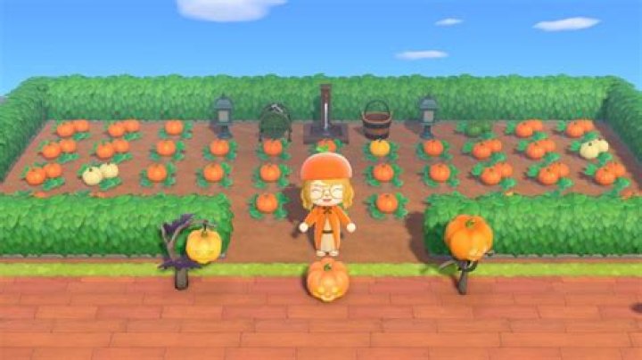 How to Get Pumpkins in Animal Crossing: New Horizons