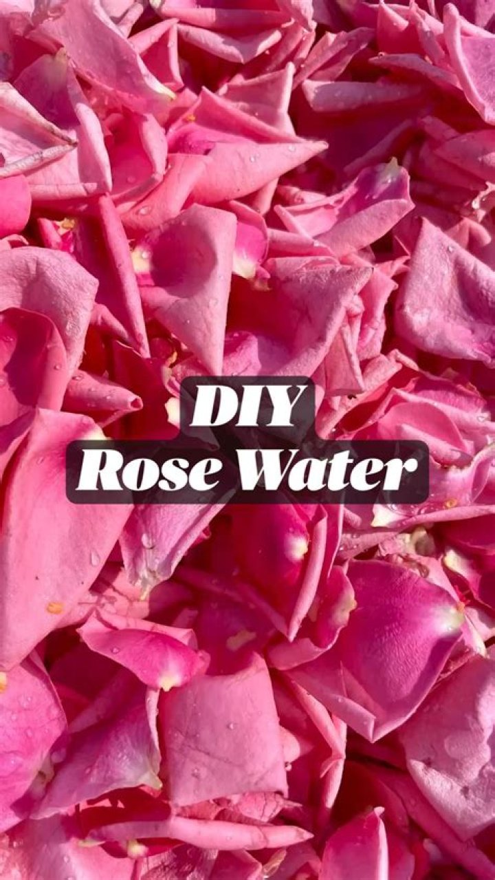 How Long Does Diy Rose Water Last