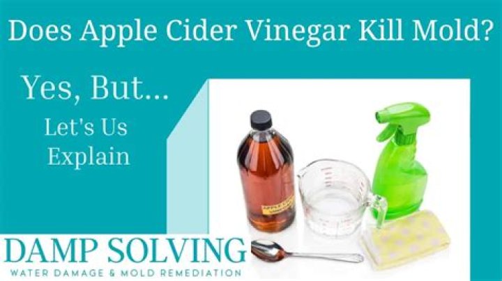 Quick Answer: How Long Does Vinegar Take To Kill Mold