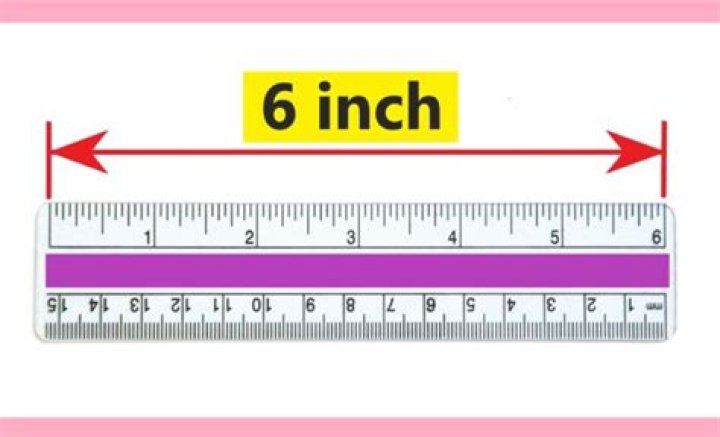 How Long Is 6 Inches