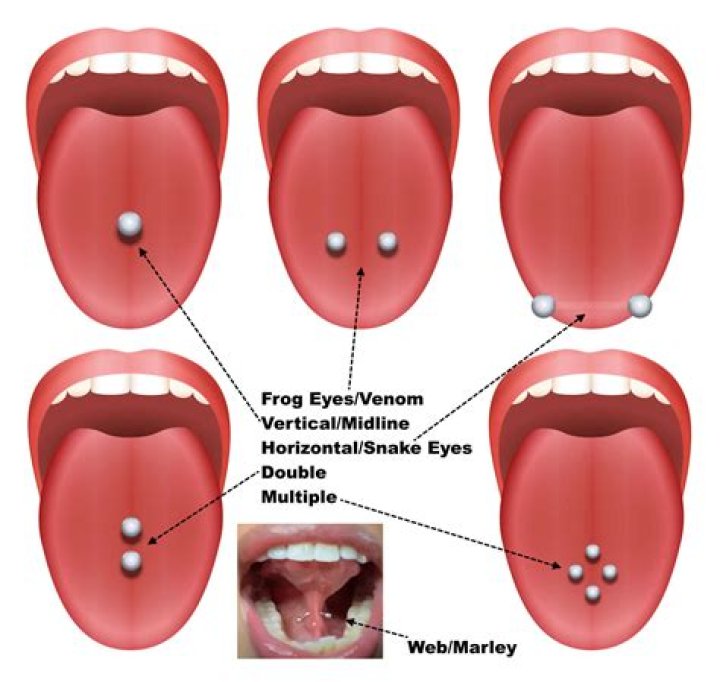 Quick Answer: How Long Is A Tongue