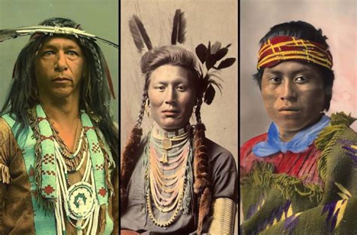 How Many Full Blooded Native American Are Left
