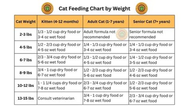 How Much Is A Senior Blood Panel For A Cat