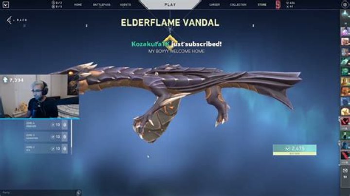 How Much Is Elderflame Vandal