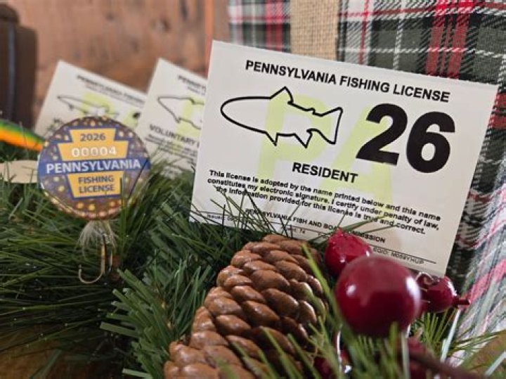 How Much Is Fishing License For Seniors