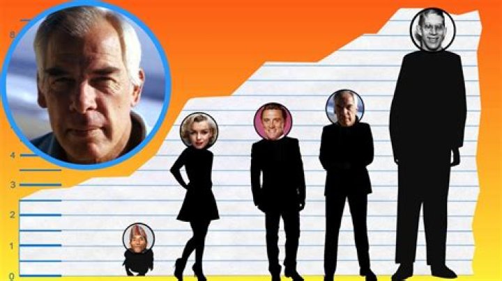 How Tall Is Lee Marvin? Exploring The Height And Legacy Of A Hollywood Icon