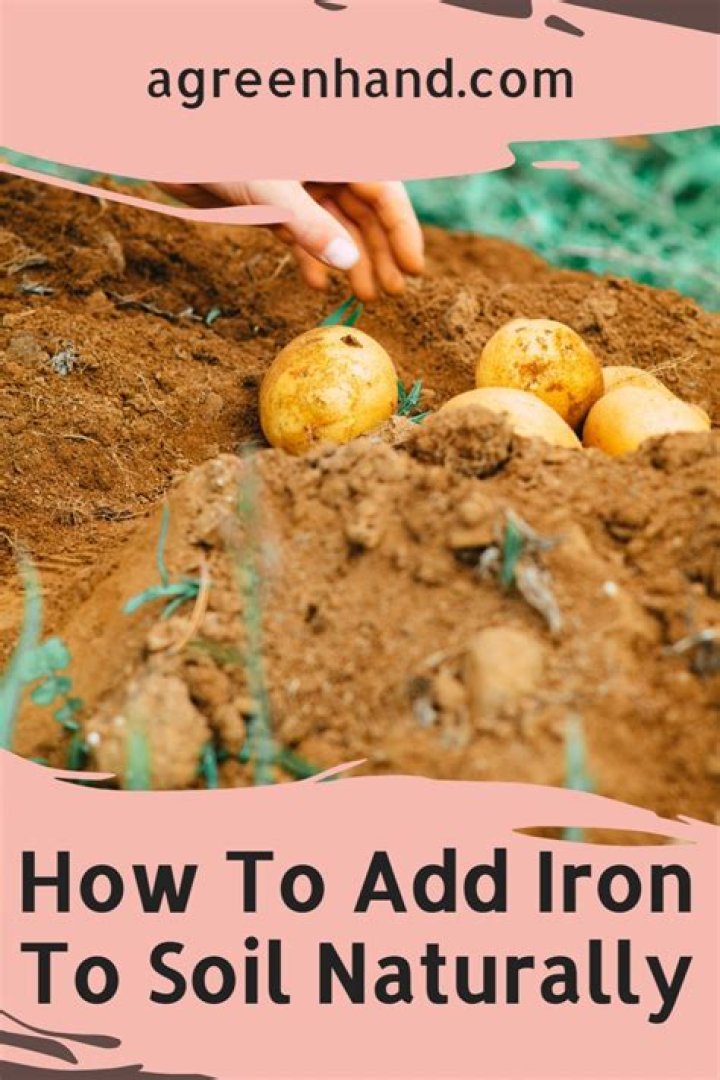 Quick Answer: How To Add Iron To Soil Naturally