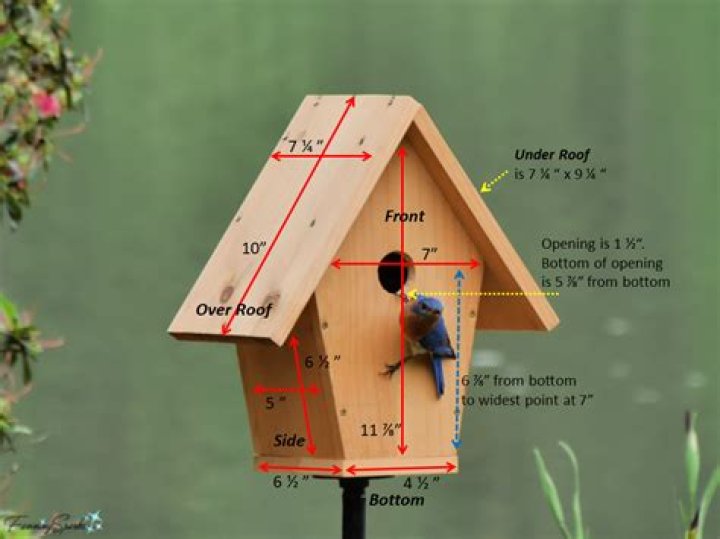 Quick Answer: How To Build A Birdhouse For Robins