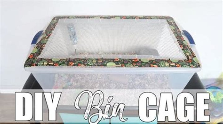 How To Build Diy Rat Cage
