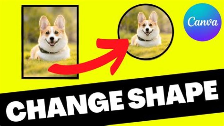 How To Change Image Shape In Canva