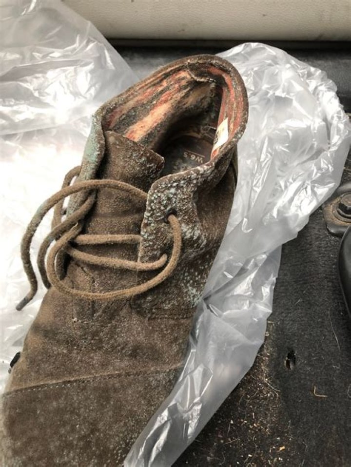 How To Clean Mold Off Of Suede