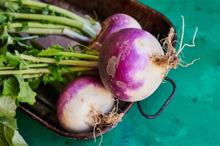 Question: How To Cook Purple Turnips