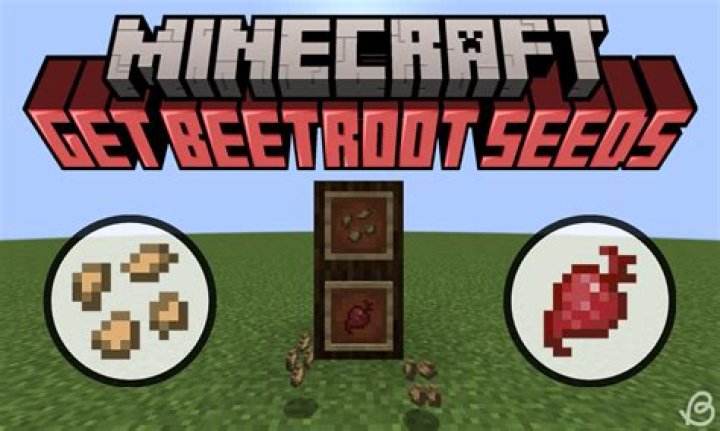 Quick Answer: How To Craft Beetroot Seeds