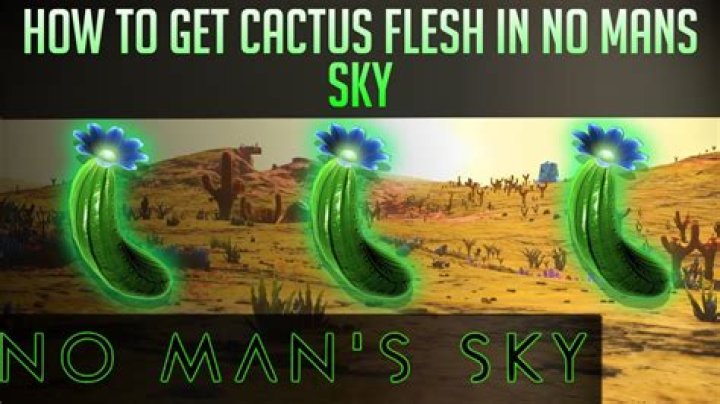Question: How To Craft Cactus Flesh No Man's Sky