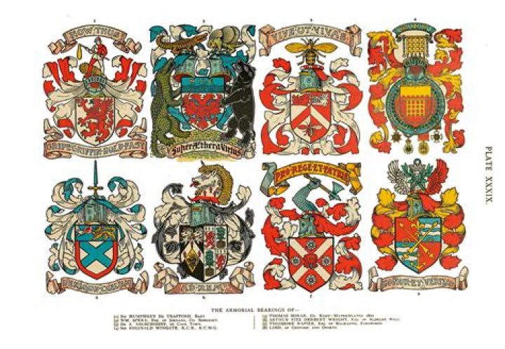 How To Design Your Own Coat Of Arms