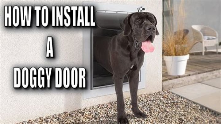 How To Diy Dog Door In A Wall