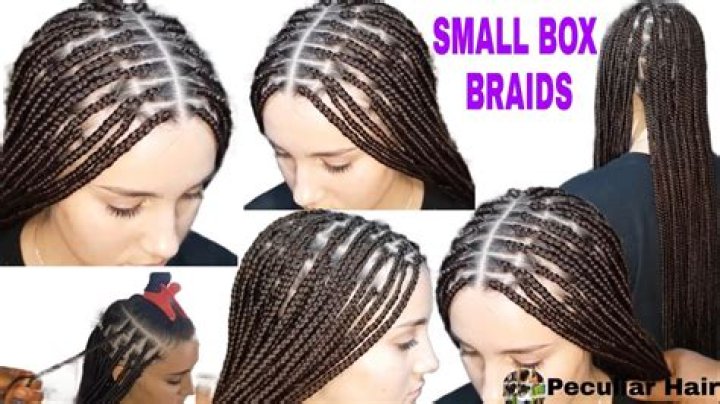 Question: How To Do Small Box Braids Diy