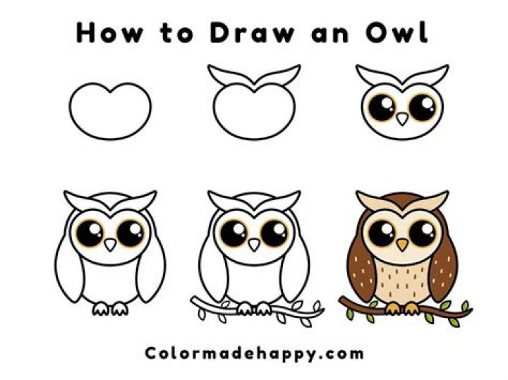Quick Answer: How To Draw A Cute Owl