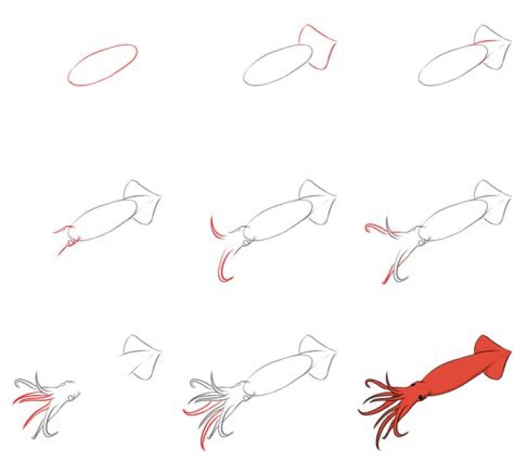 How To Draw A Simple Squid And Octopus