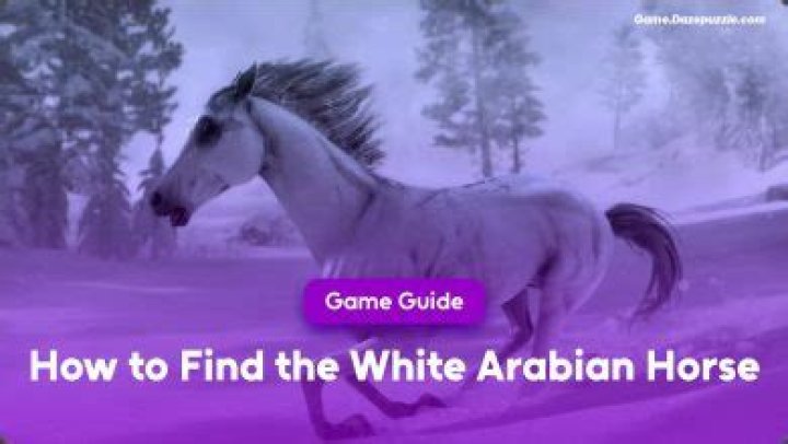 How To Find The White Arabian Horse