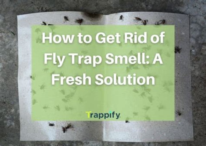 Quick Answer: How To Get Rid Of Fly Trap Smell