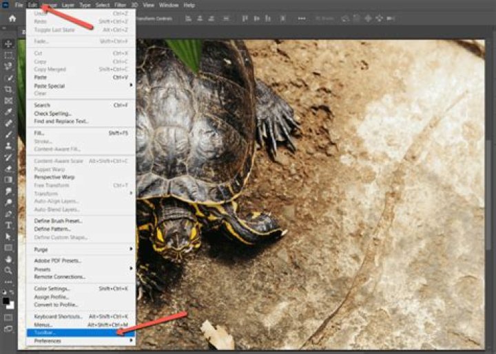 Quick Answer: How To Get The Toolbar Back In Photoshop