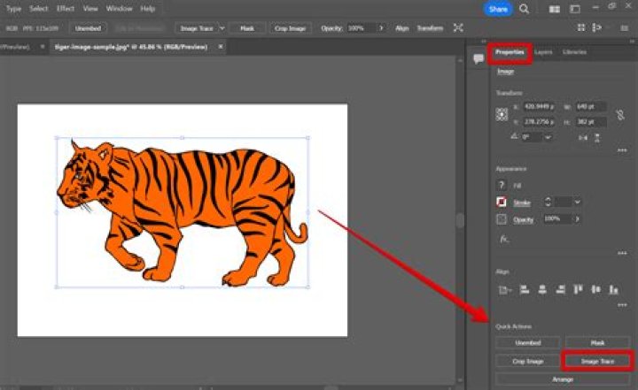 Quick Answer: How To Make An Outline Of A Picture