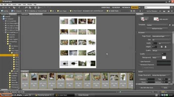 How To Make Contact Sheet In Bridge