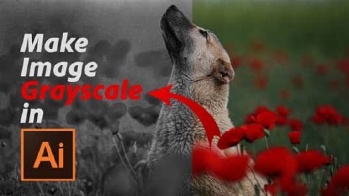 How To Make Grayscale In Illustrator