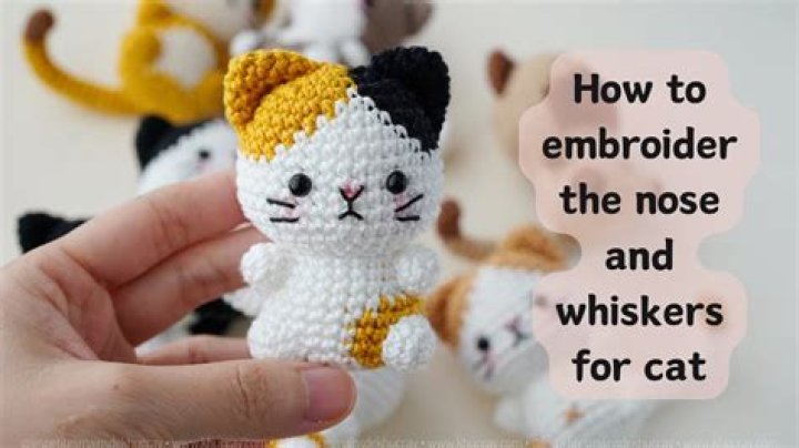 Quick Answer: How To Make Whiskers For A Cat Costume