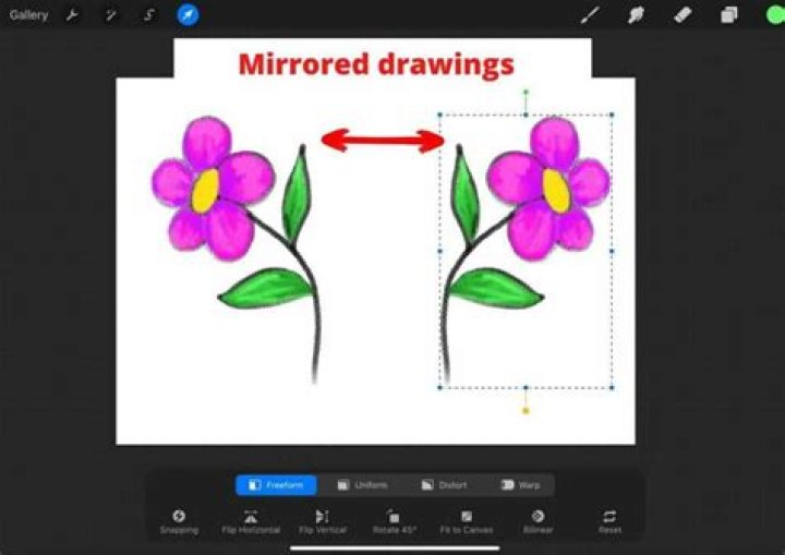Question: How To Mirror In Procreate