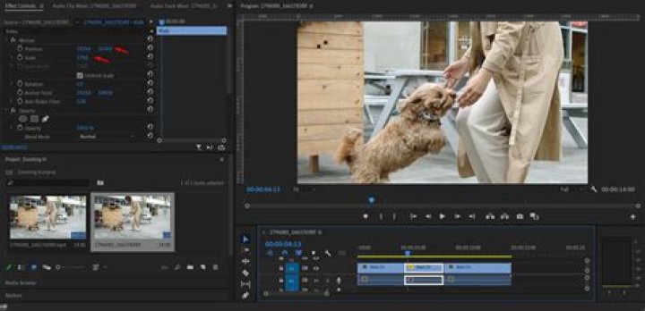 Quick Answer: How To Move All Clips In Premiere Pro